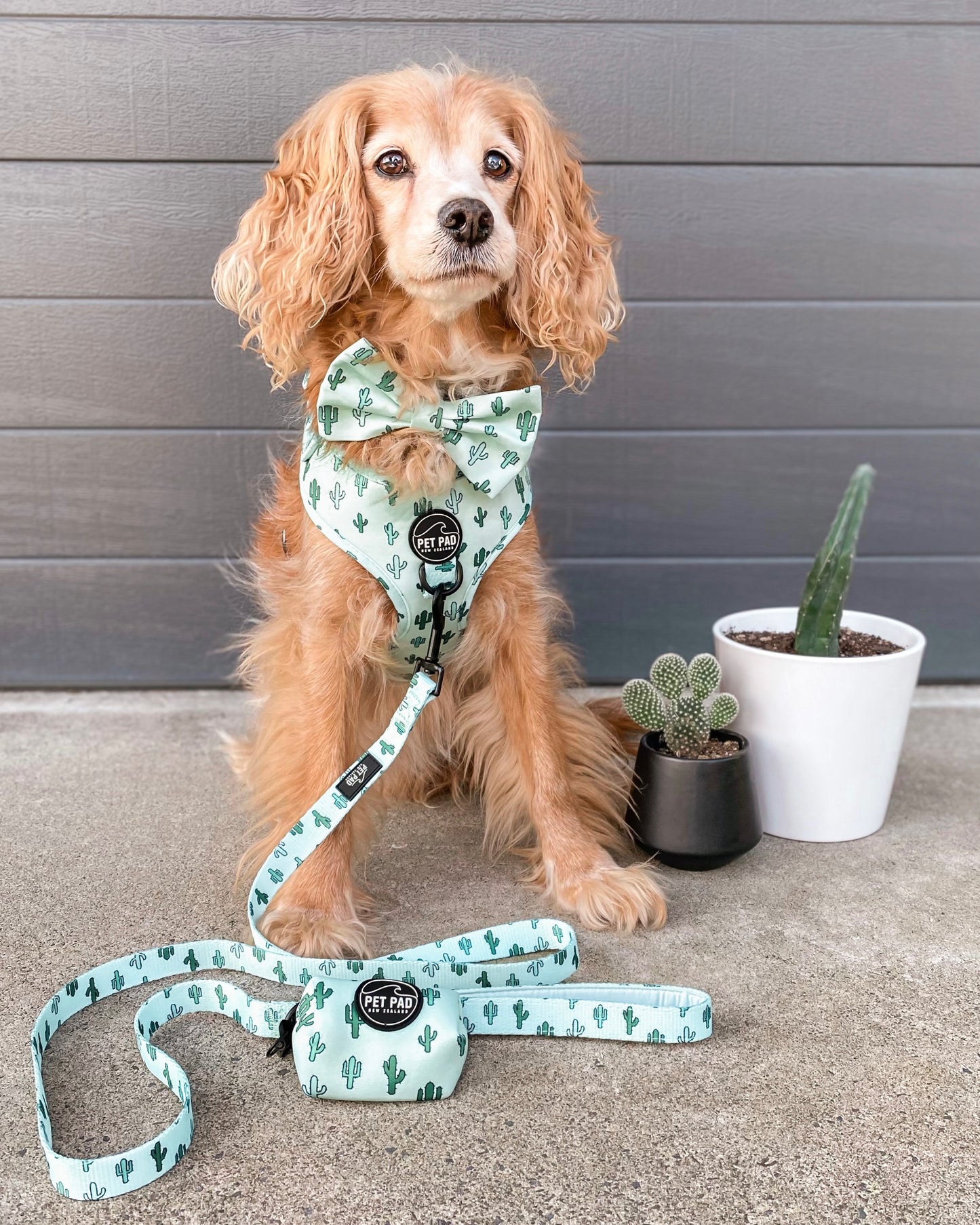 Lookin' Sharp Poop Bag Holder