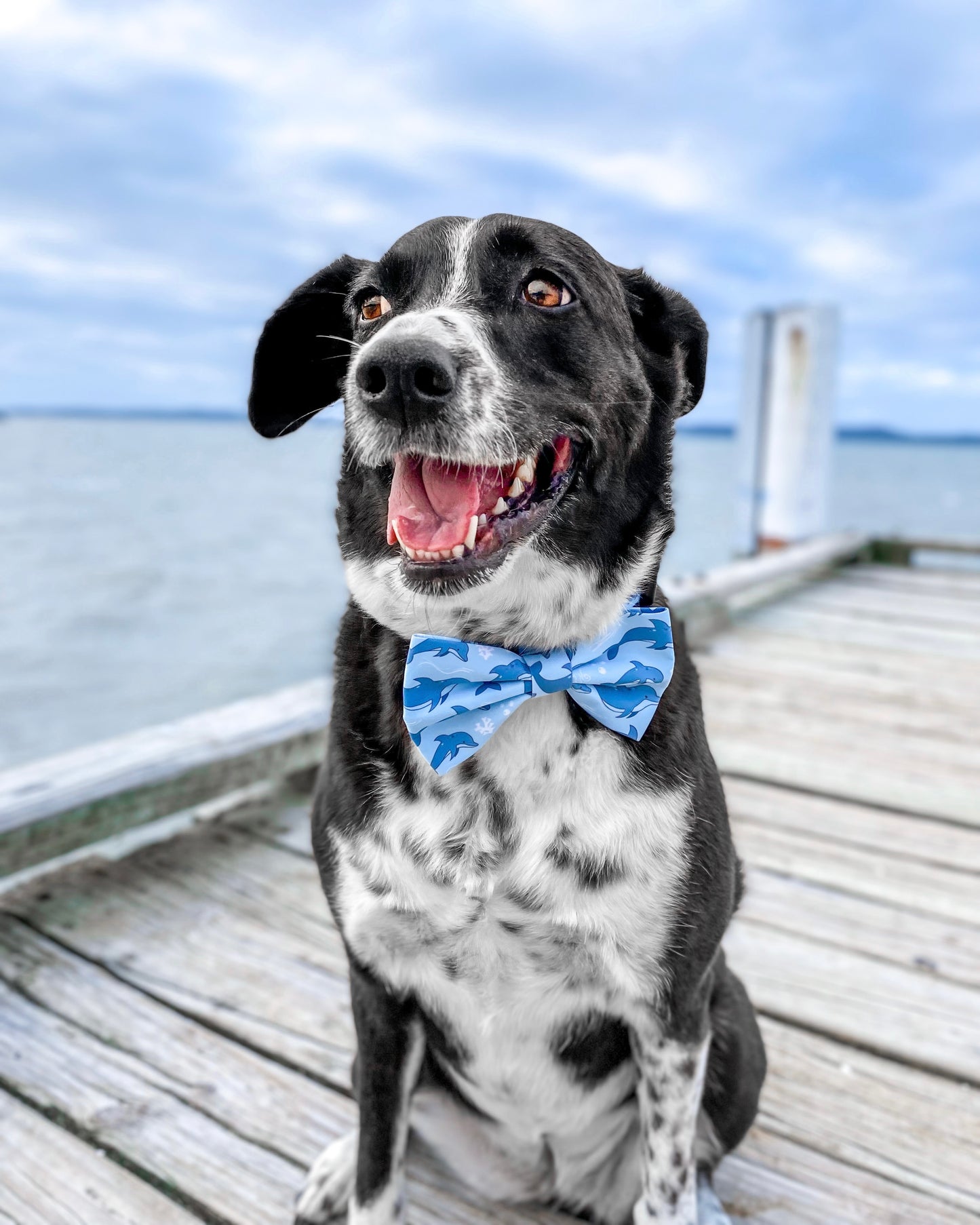 Opito Bay Bow Tie